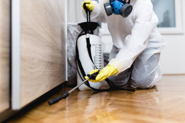 Best Affordable Pest Control Services  in Landen, OH
