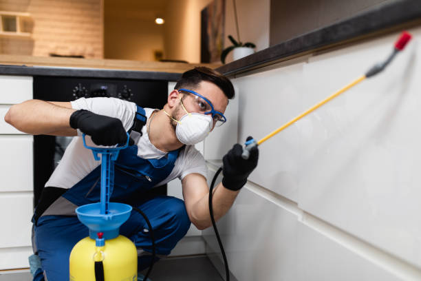 Best Pest Control Near Me  in Landen, OH