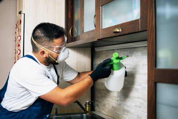 Best Exterminator Services  in Landen, OH