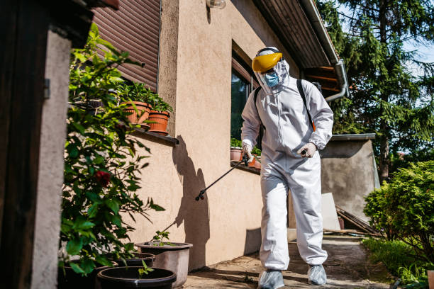 Best Bed Bug Extermination  in Landen, OH