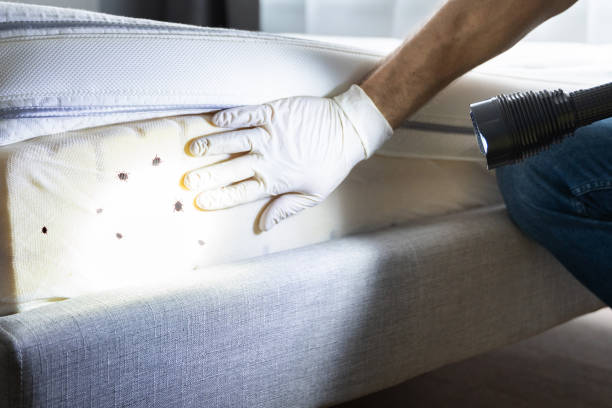 Best Best Pest Control Companies  in Landen, OH