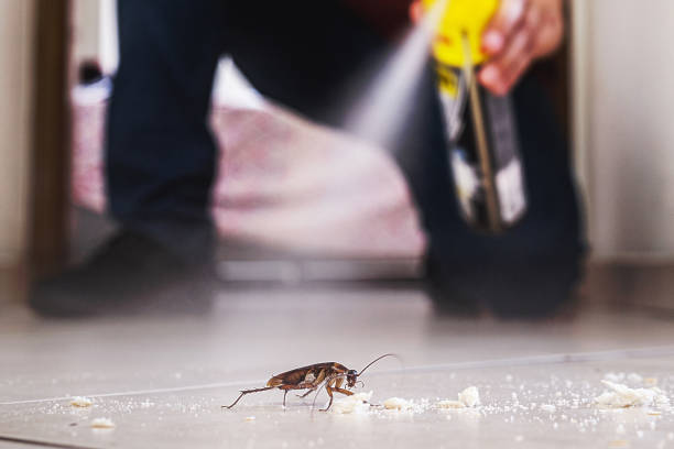 Best Wasp Removal Services  in Landen, OH