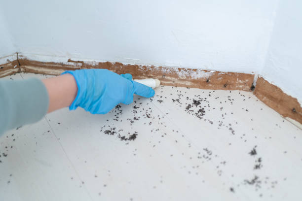 Best Emergency Pest Control  in Landen, OH